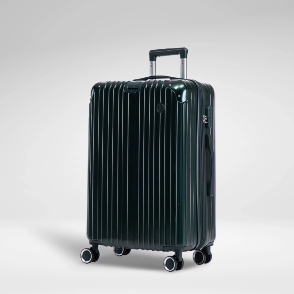 Terminal Prime 20-Inch + 24-Inch Togetherness Collection Suitcase Set